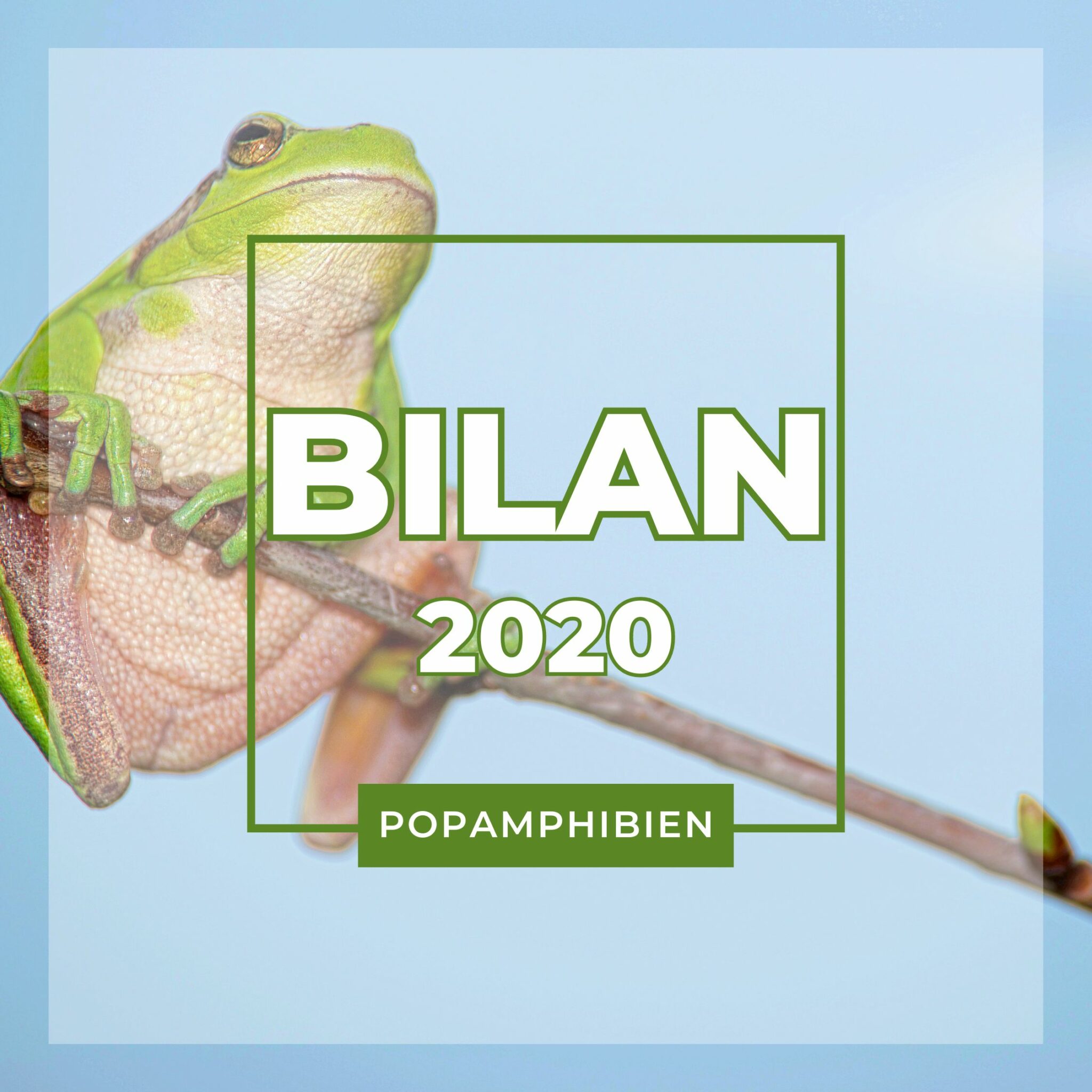 BILAN-2020-2048x2048.jpg